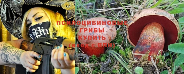 трава Арсеньев