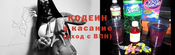 индика Балабаново