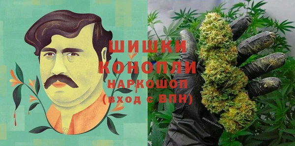 трава Арсеньев