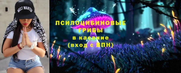 индика Балабаново