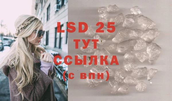 ГАЛЛЮЦИНОГЕННЫЕ ГРИБЫ Балахна