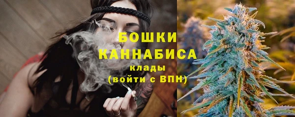 трава Арсеньев